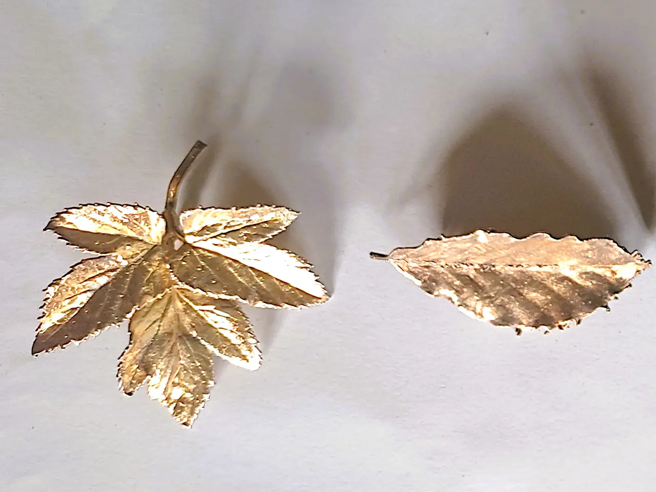 Billede 1 - Flora Danica 2 brocher