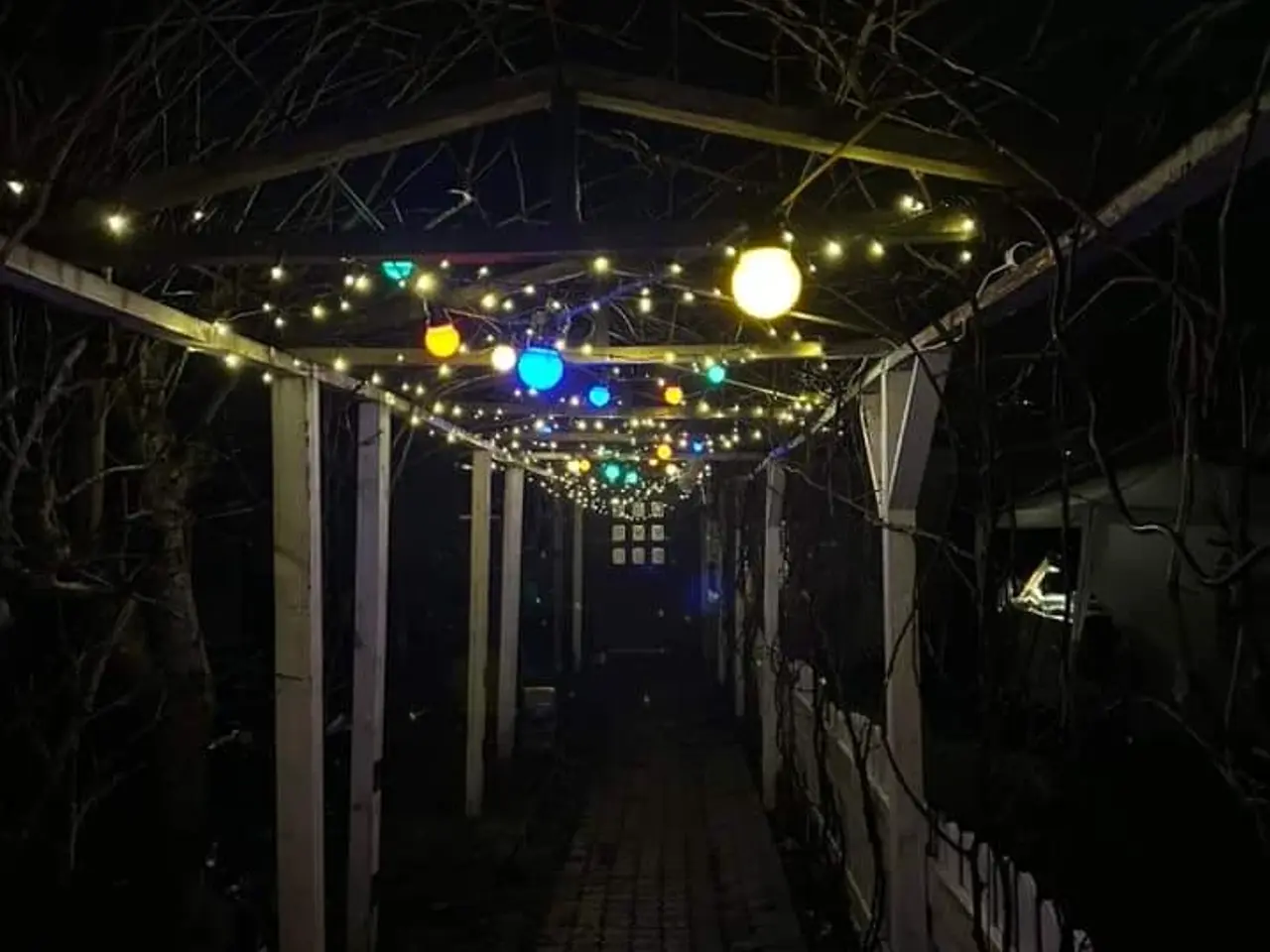 Billede 16 - Kolonihavehus i Odense SØ