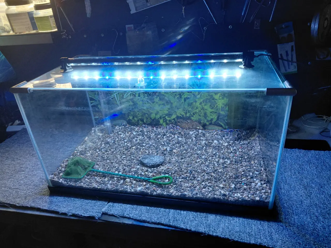 Billede 3 - Akvarier 52L 