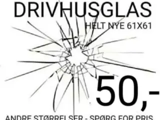 🌞 DRIVHUSGLAS 🌞