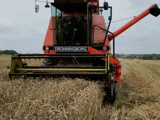 Flot Dronningborg mejetærsker