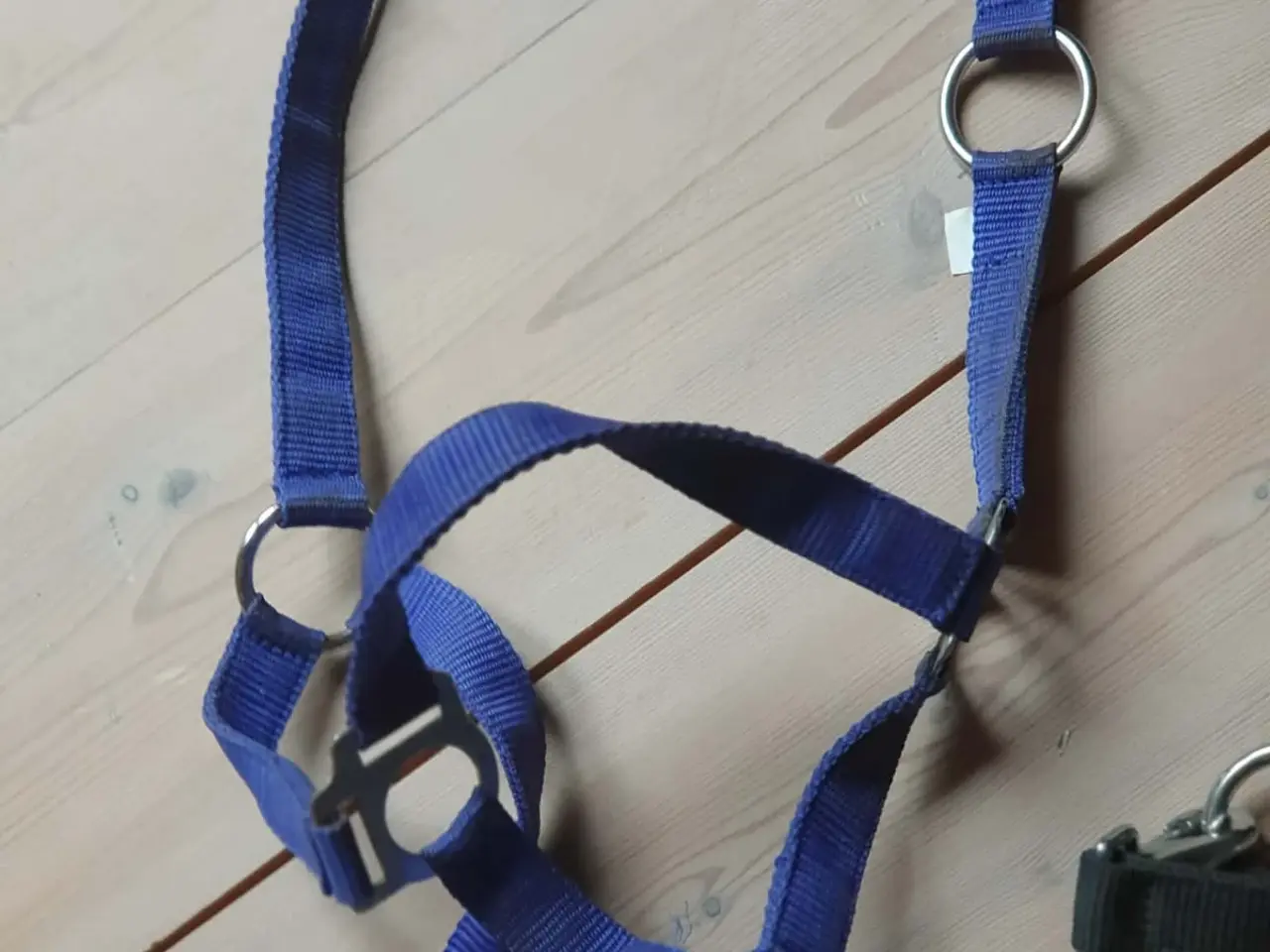 Billede 3 - 3 stk Grimer pony