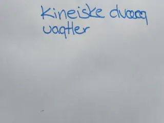 10 avlspar kinesiske dværg vagtler
