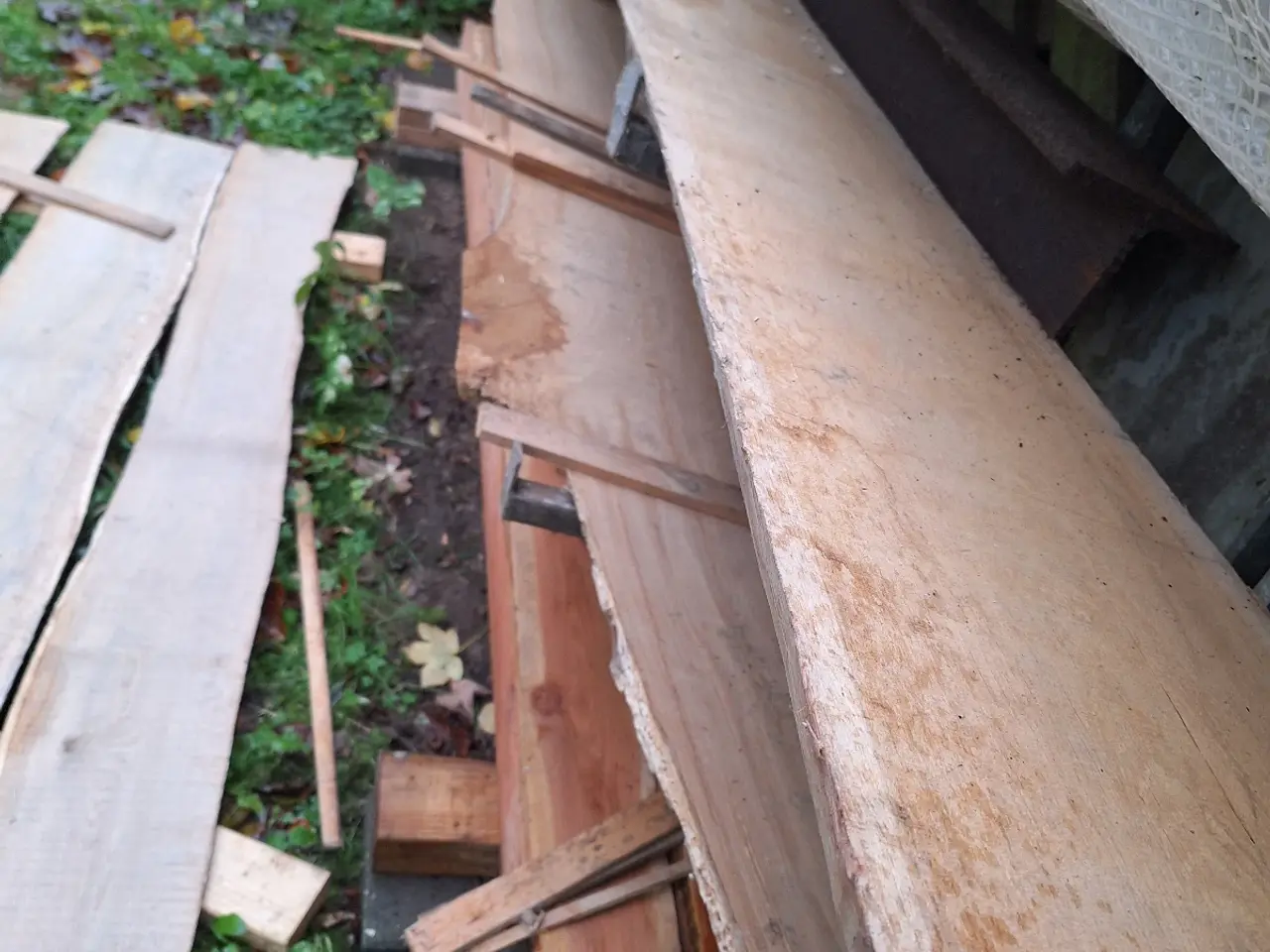 Billede 3 - Egeplanker