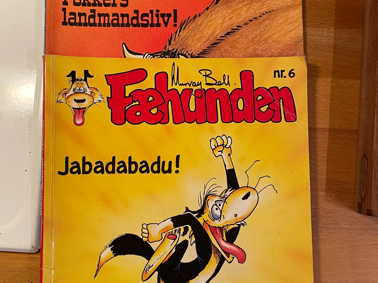 Billede 5 - Fæhunde 