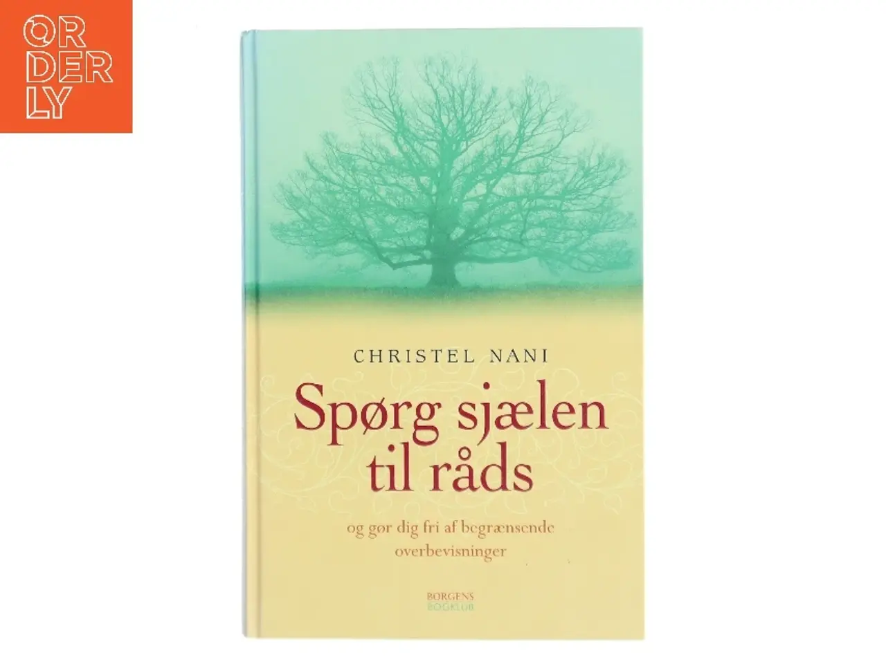 Billede 1 - Spørg sjælen til råds af Christel Nani (Bog)