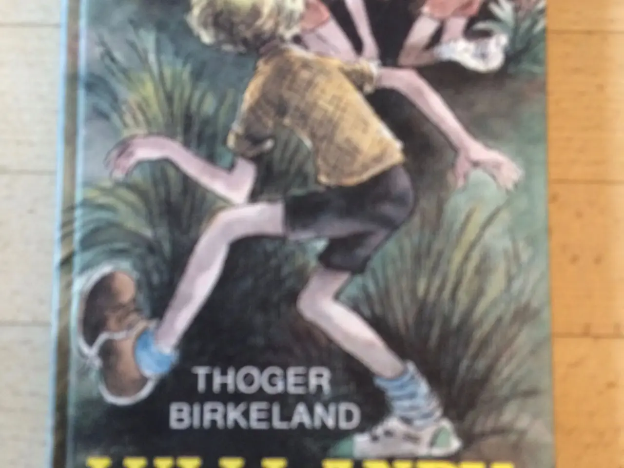 Billede 1 - Lulli, Andy og midlerne