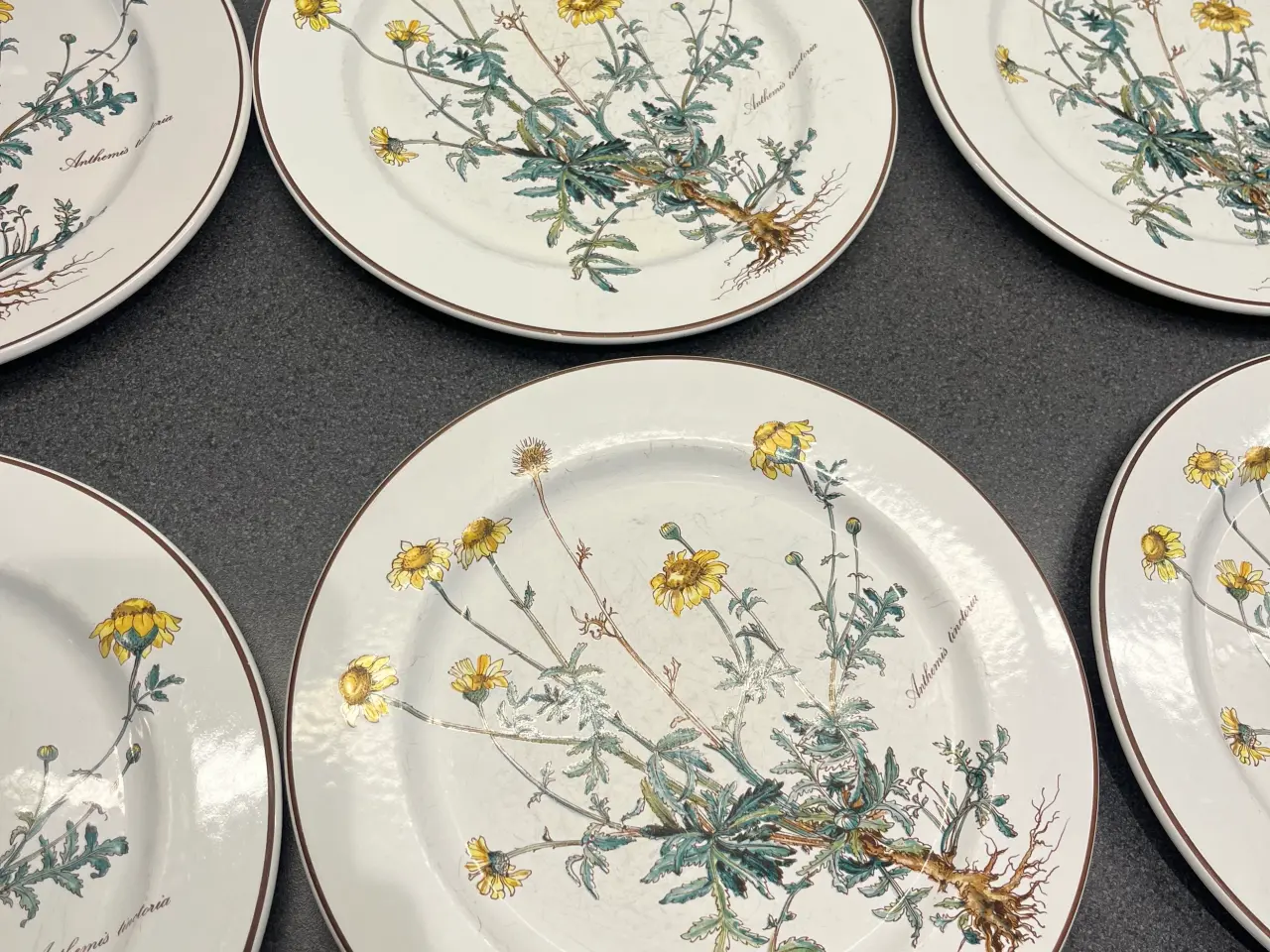 Billede 3 - Villeroy & Boch - Botanica 6 stk middagstallerkene
