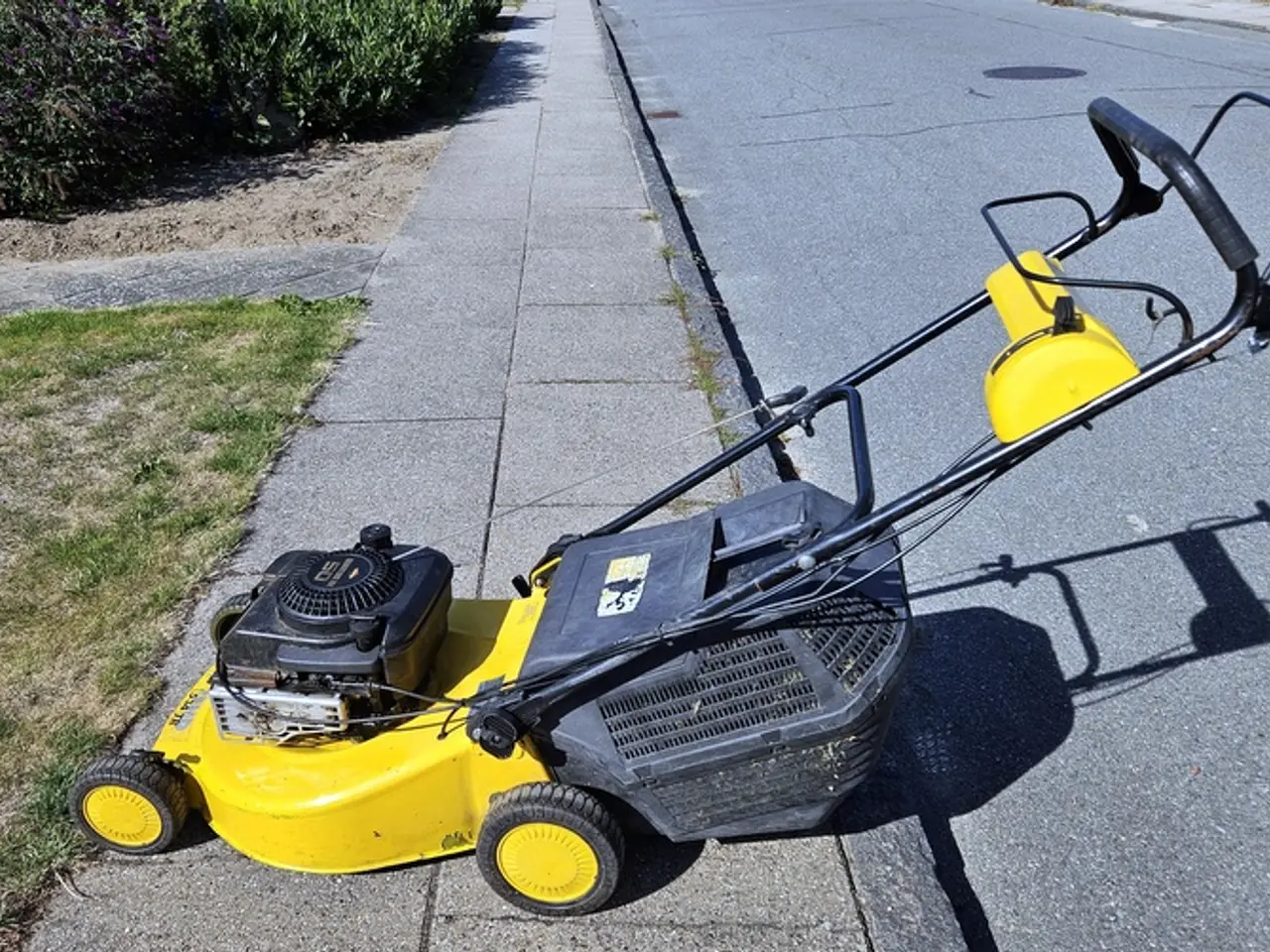 Billede 2 - Texas rotorklipper sælges.