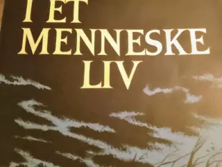 Aage Falk Hansen: Krisetider i et menneskeliv.