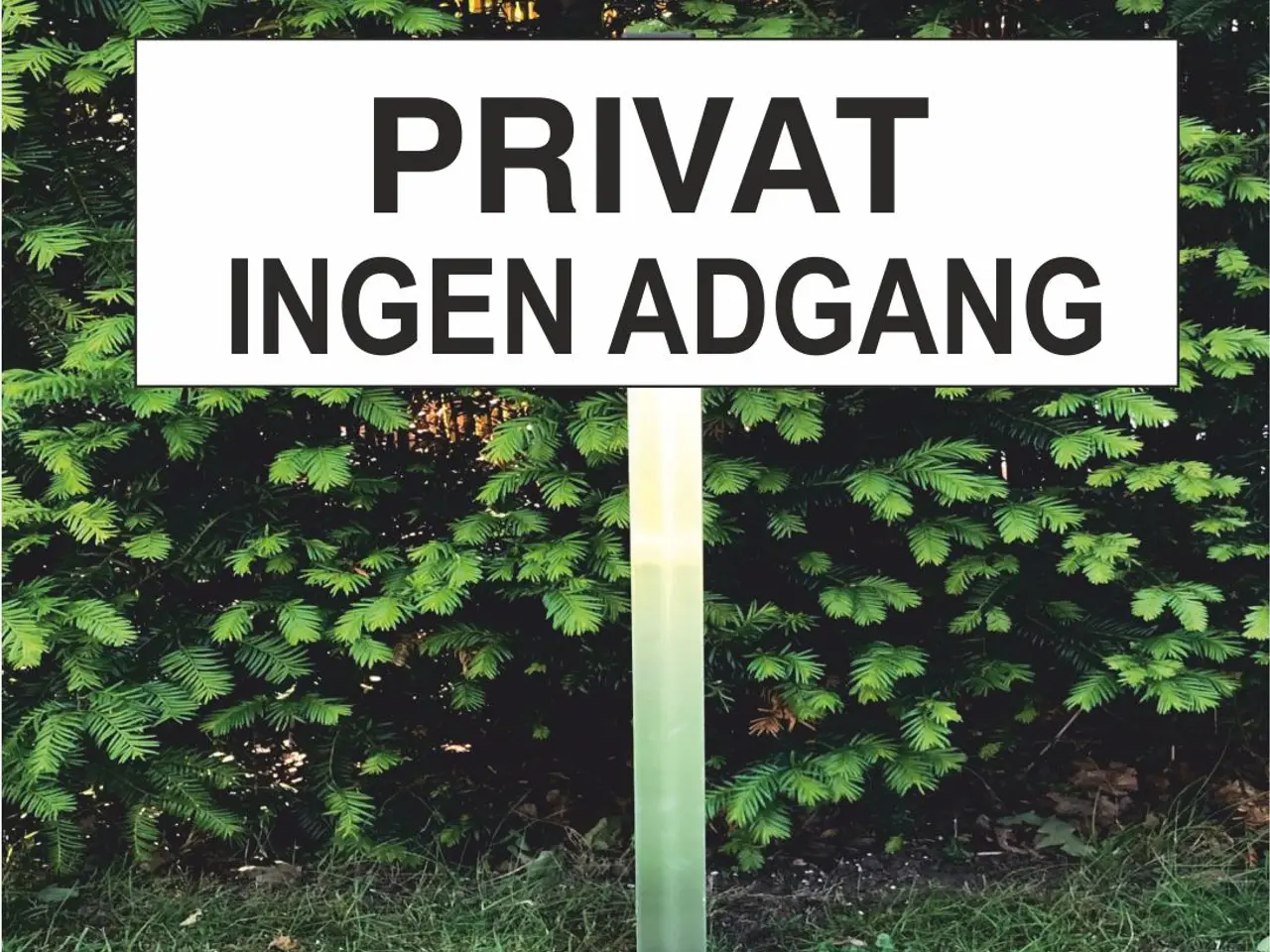 Billede 2 - Nye skilte 30x10 cm med Parkering forbudt, Privat