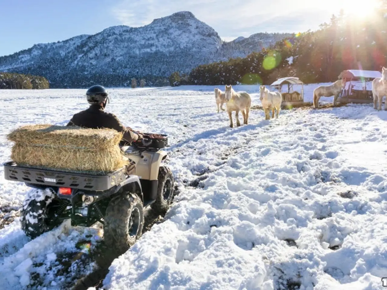 Billede 3 - Yamaha Kodiak 450 EPS Kiwami
