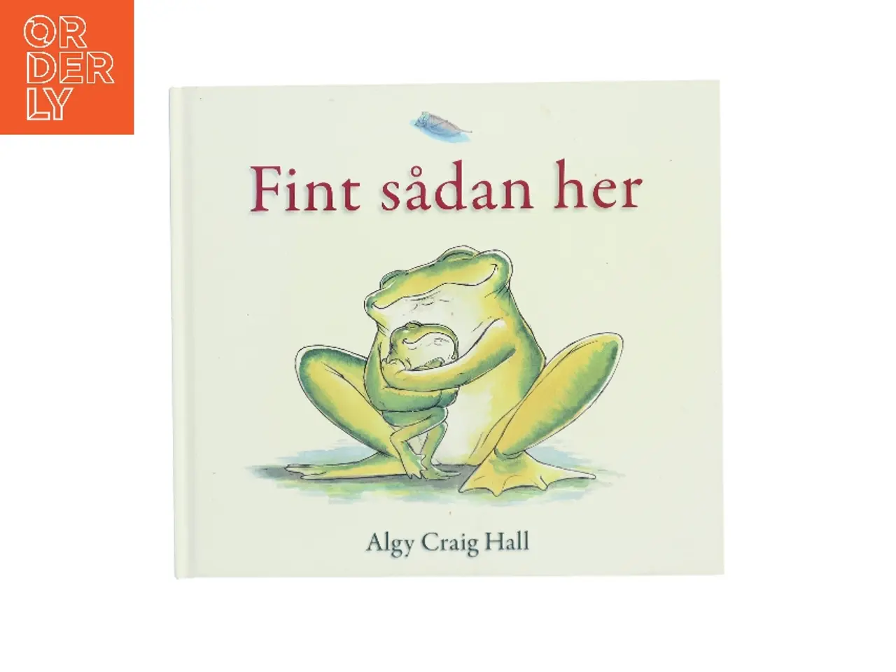 Billede 1 - Fint sådan her af Algy Craig Hall (Bog)