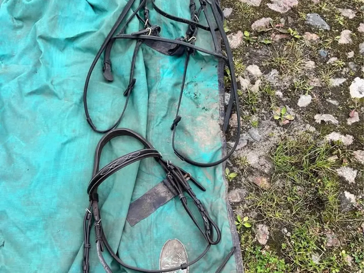 Billede 9 - Heste udstyr, 2xSadel, Underlag, Seletøj,