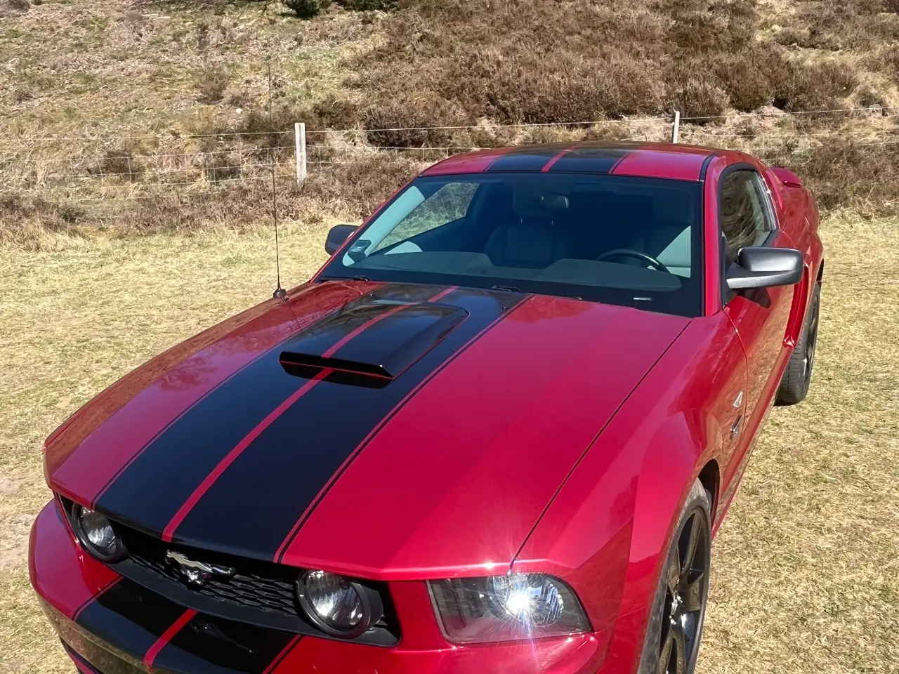Billede 10 - Ford Mustang GT V8