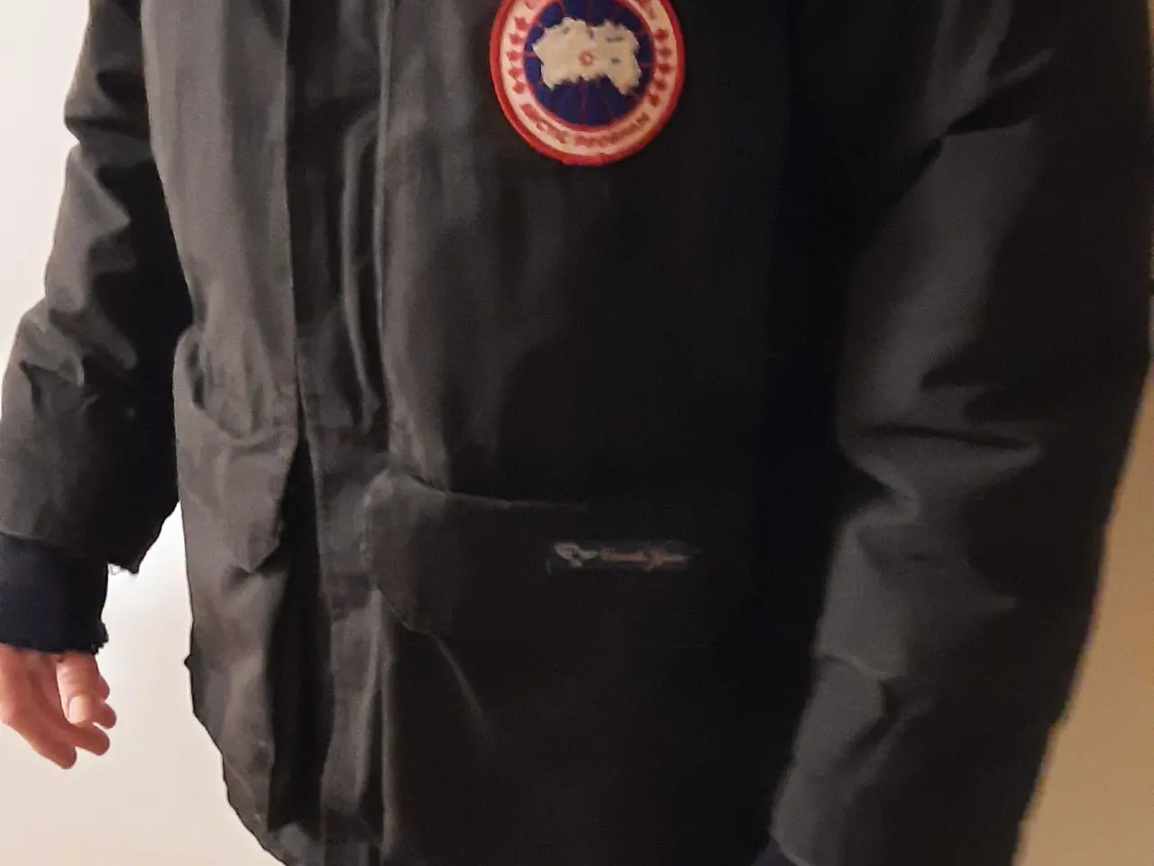 Billede 4 - Canadian goose expedition