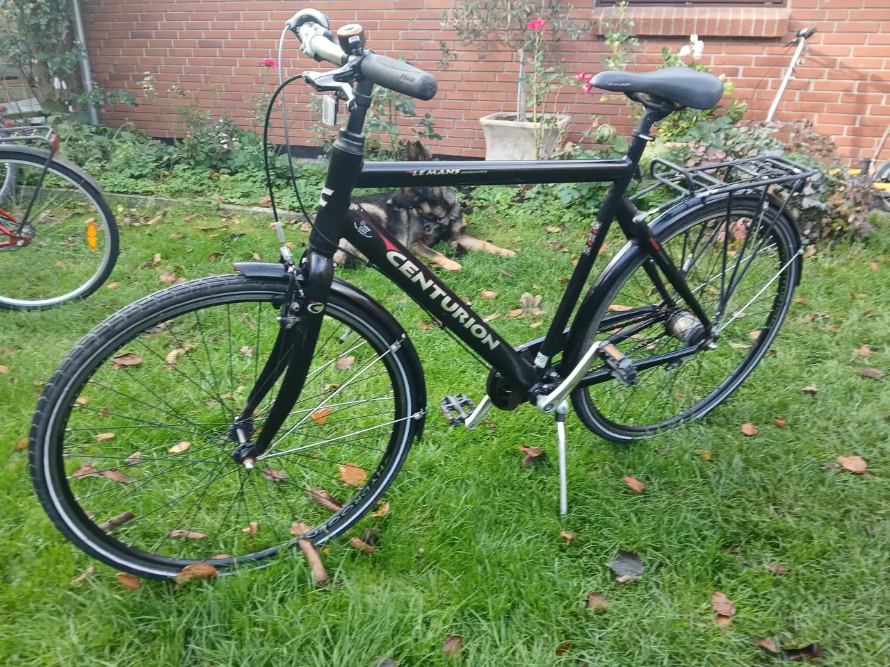 Billede 2 - Centurion herre stor stel