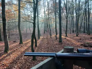 Blaser BB97