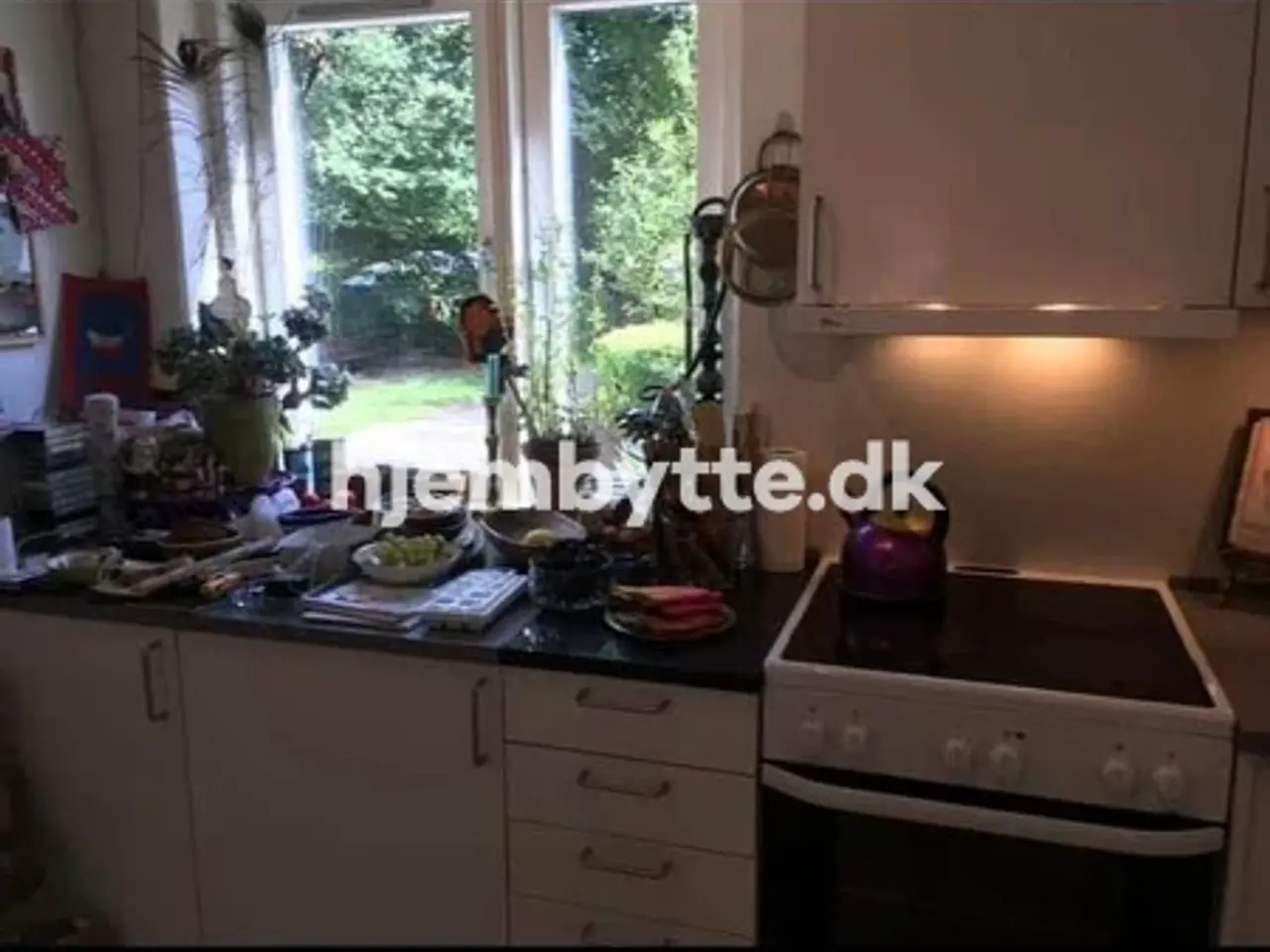 Billede 10 - Hjembytte - Todesgade