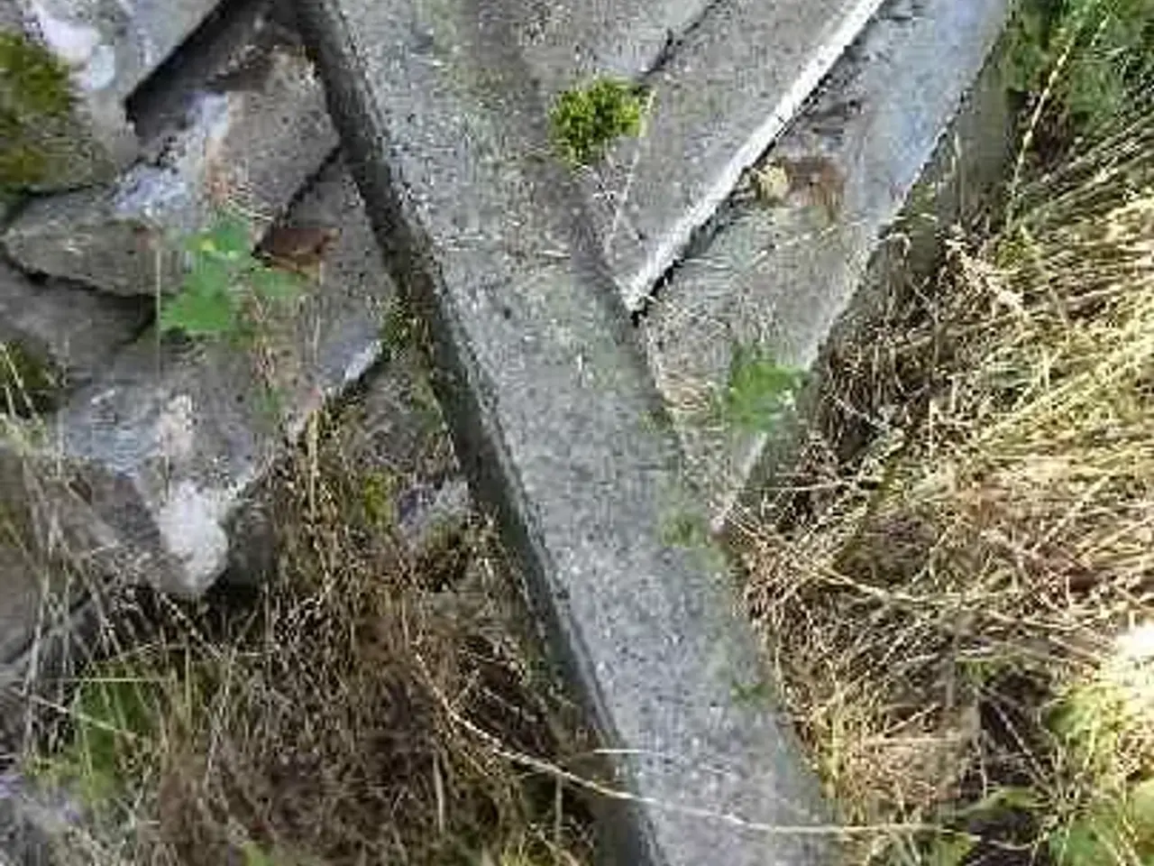 Billede 1 - Betonspalter