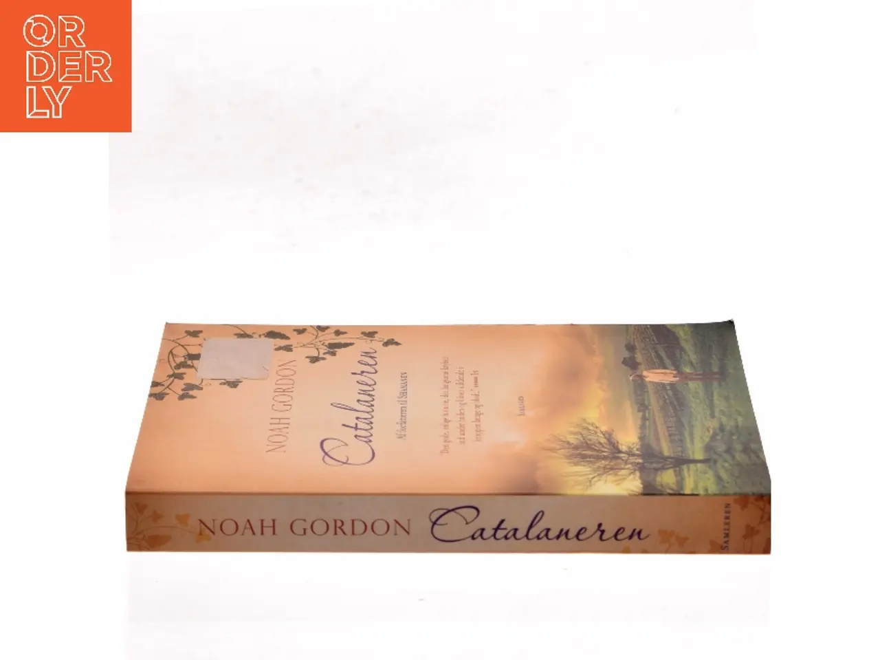 Billede 2 - Catalaneren af Noah Gordon (Bog)