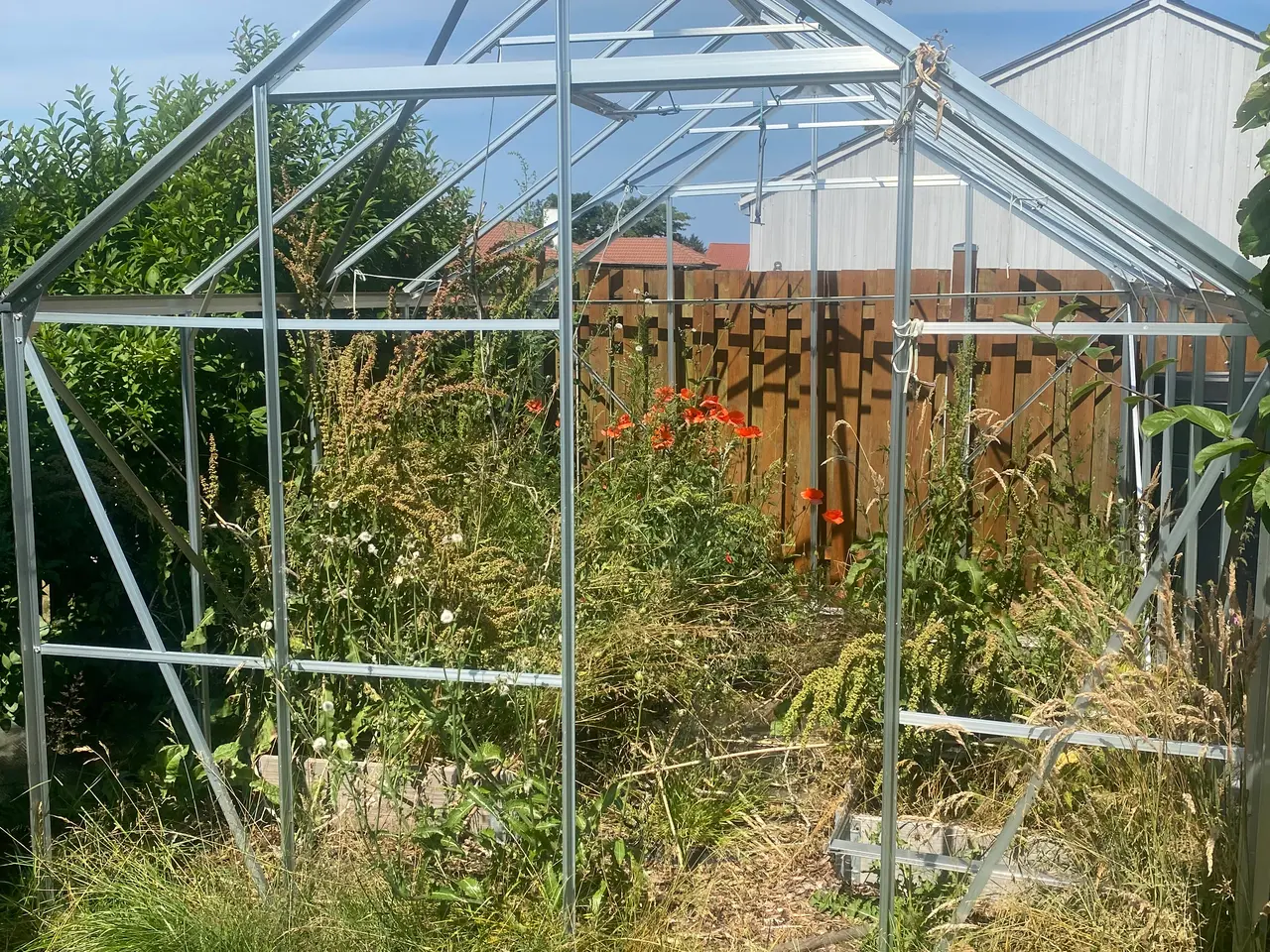 Billede 1 - Drivhus uden glas