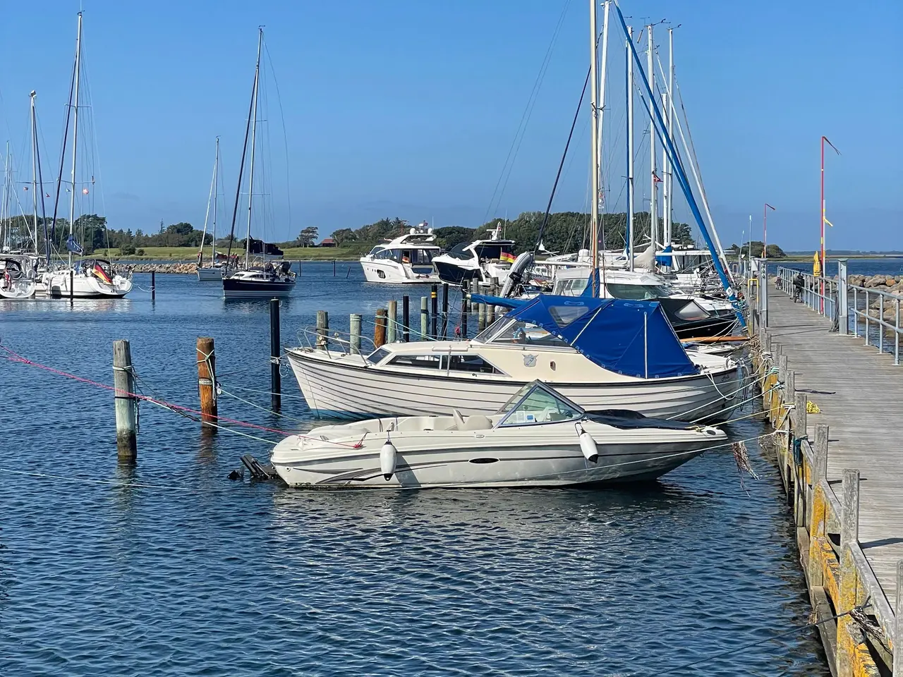 Billede 3 - Searay 176 bowrider