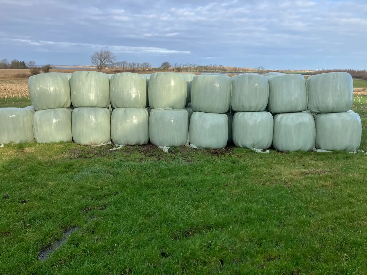 Billede 1 - Wrap velegnet til heste