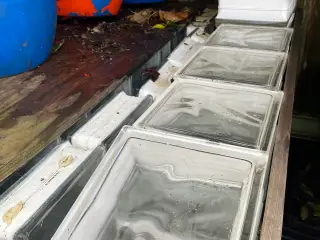 Glas til indmuring i væk