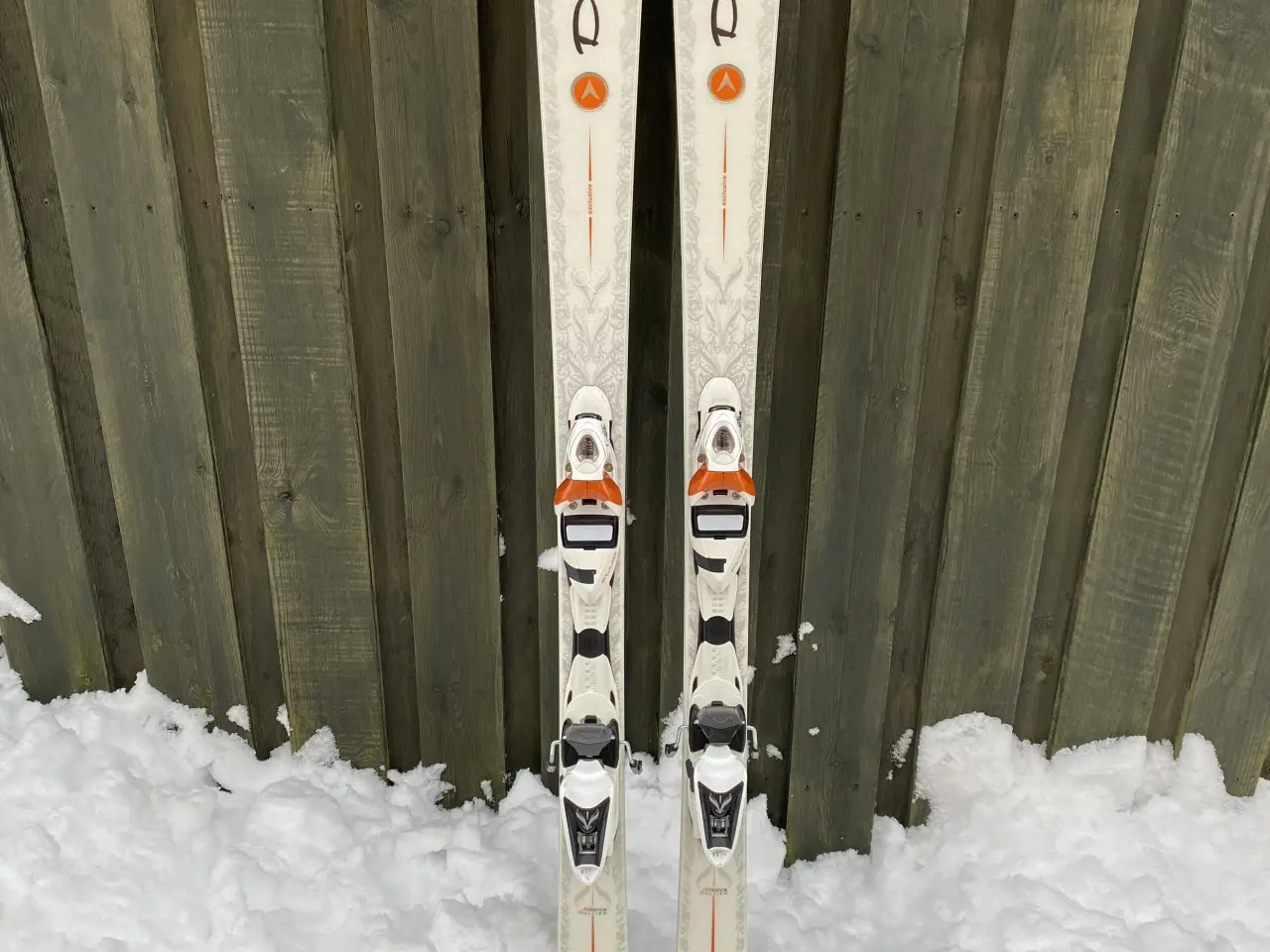 Billede 1 - Dynaster carvingski med stave og transportetui.
