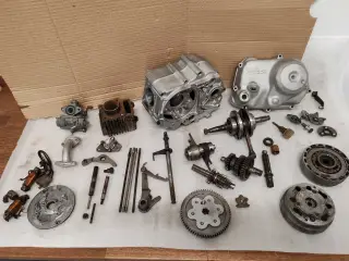Honda dax motor projekt