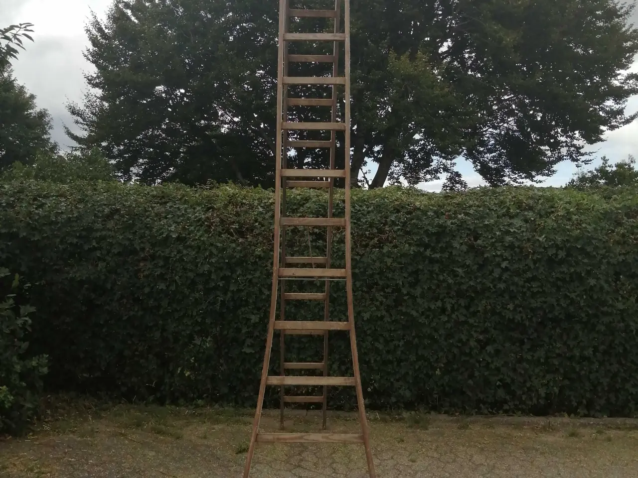Billede 2 - Wienerstige 3,5 m træstige 7 m