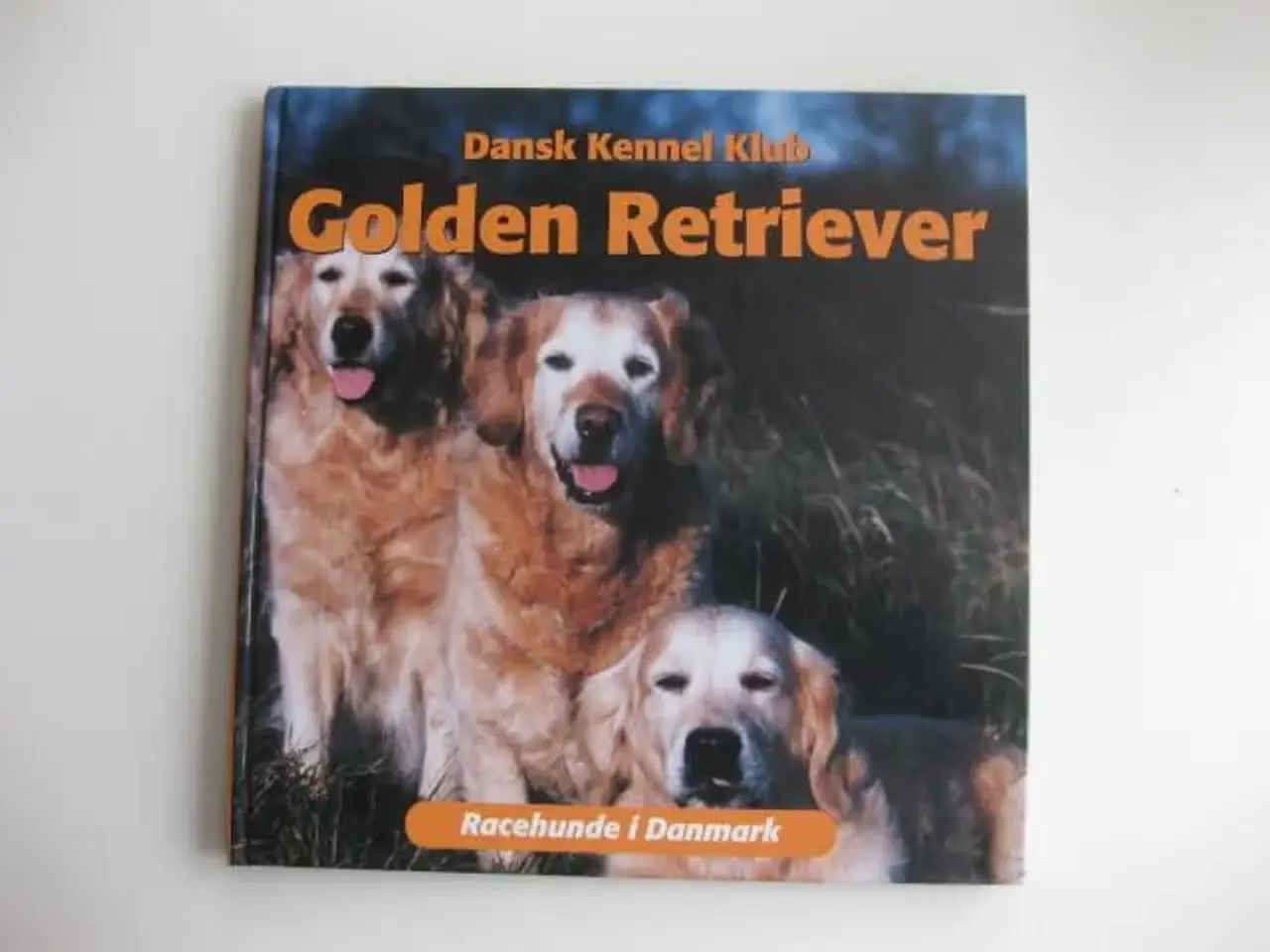Billede 1 - Golden Retriever