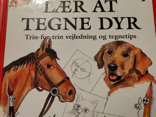 Lær at tegne dyr