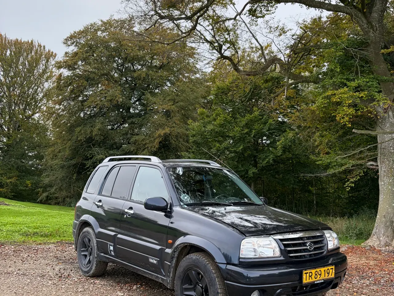 Billede 1 - Suzuki Grand vitara v6