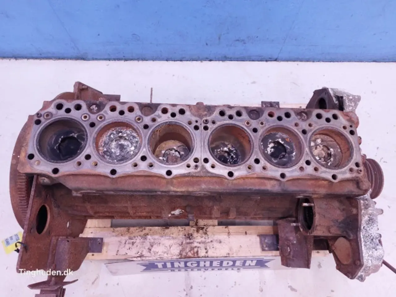 Billede 11 - Iveco 8460 SRI 10 Motor 61321549