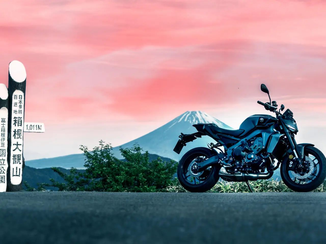 Billede 6 - Yamaha MT-09 Y-AMT