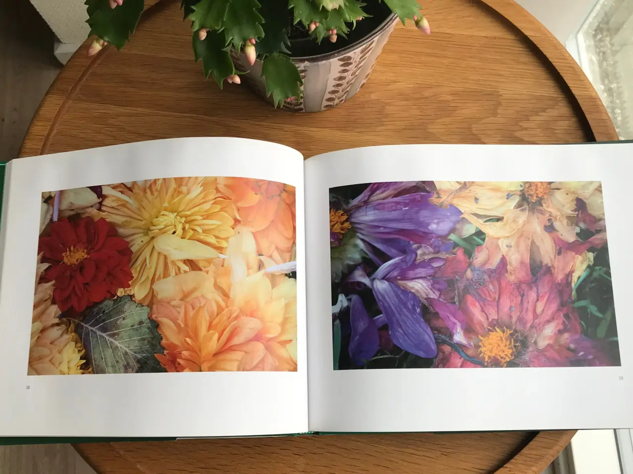 Billede 2 - Georginer-Skønhed og Forfald, Maja Lisa Engelhard