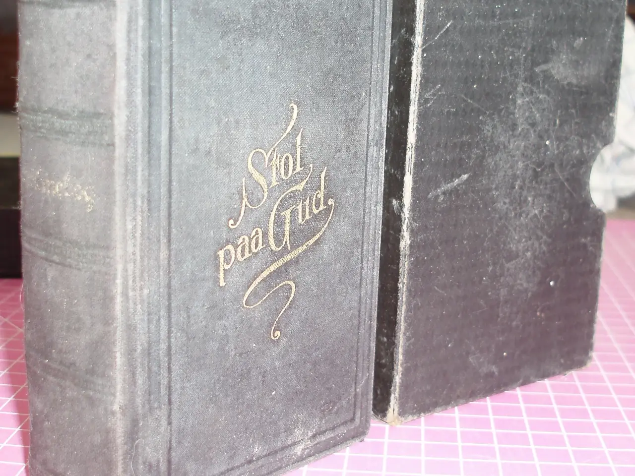 Billede 2 - Salmebog anno 1904