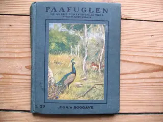 Paafuglen og andre dyrefortællinger