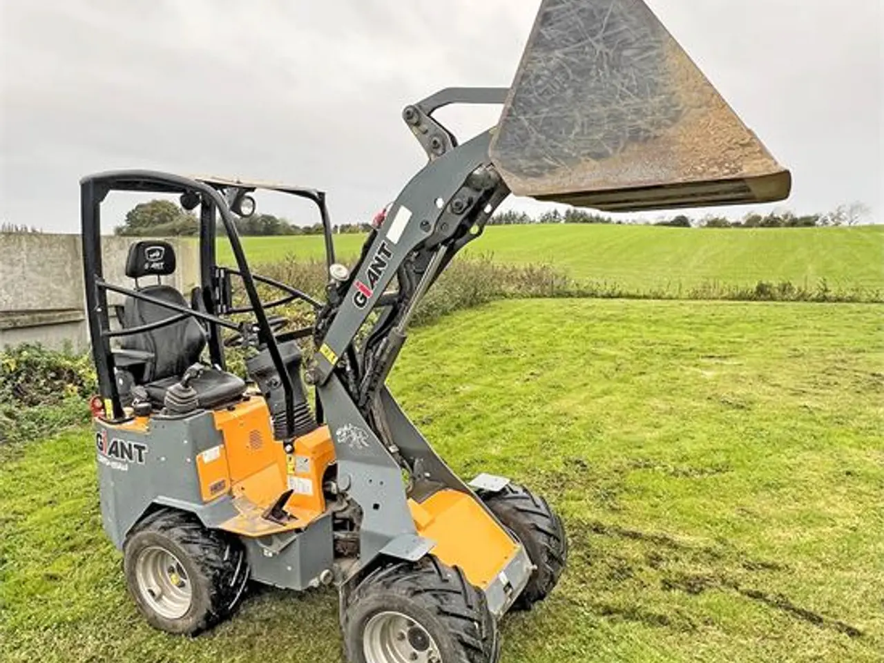 Billede 11 - Giant D254 SW - Vægt / weight 1,6 ton