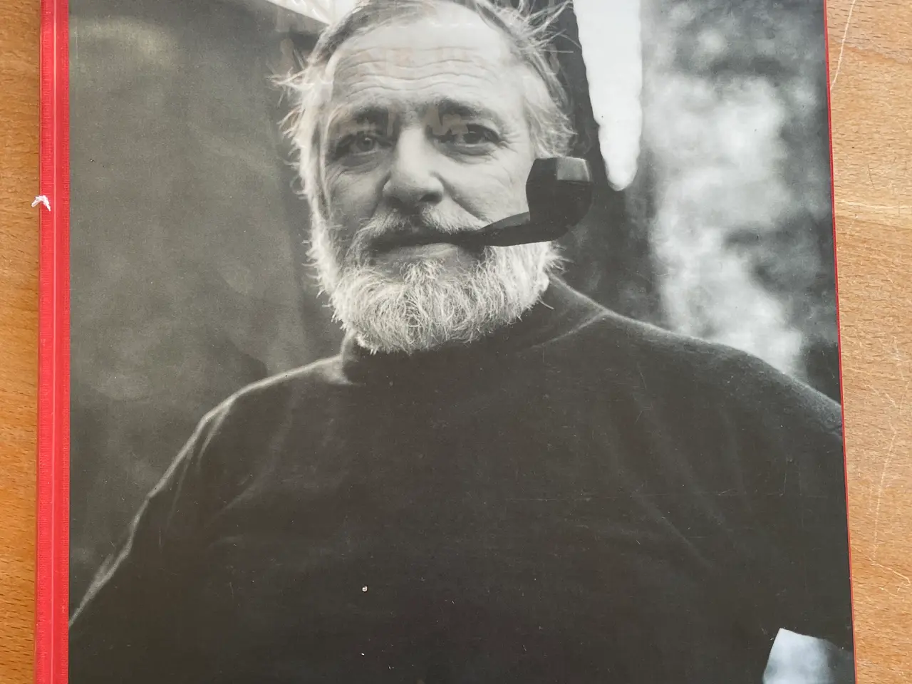 Billede 1 - Asger Jorn En biografi