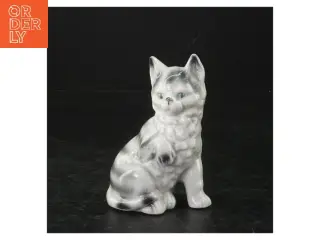 Porcelænskat