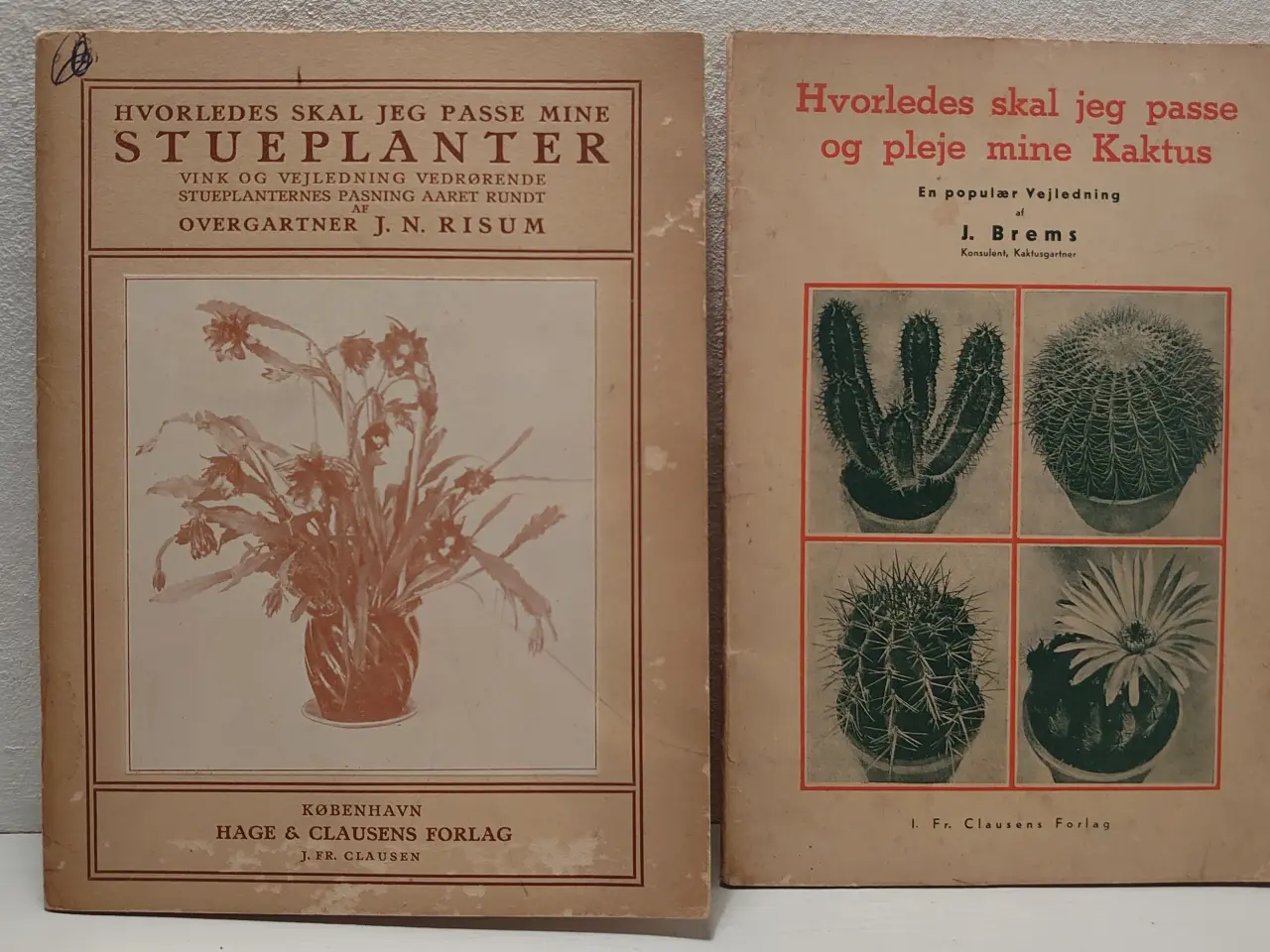 Billede 1 - Brems og Risum:Hæfter om plantepasning.1928 & 1935