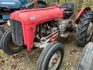 Massey Ferguson 35 benzin