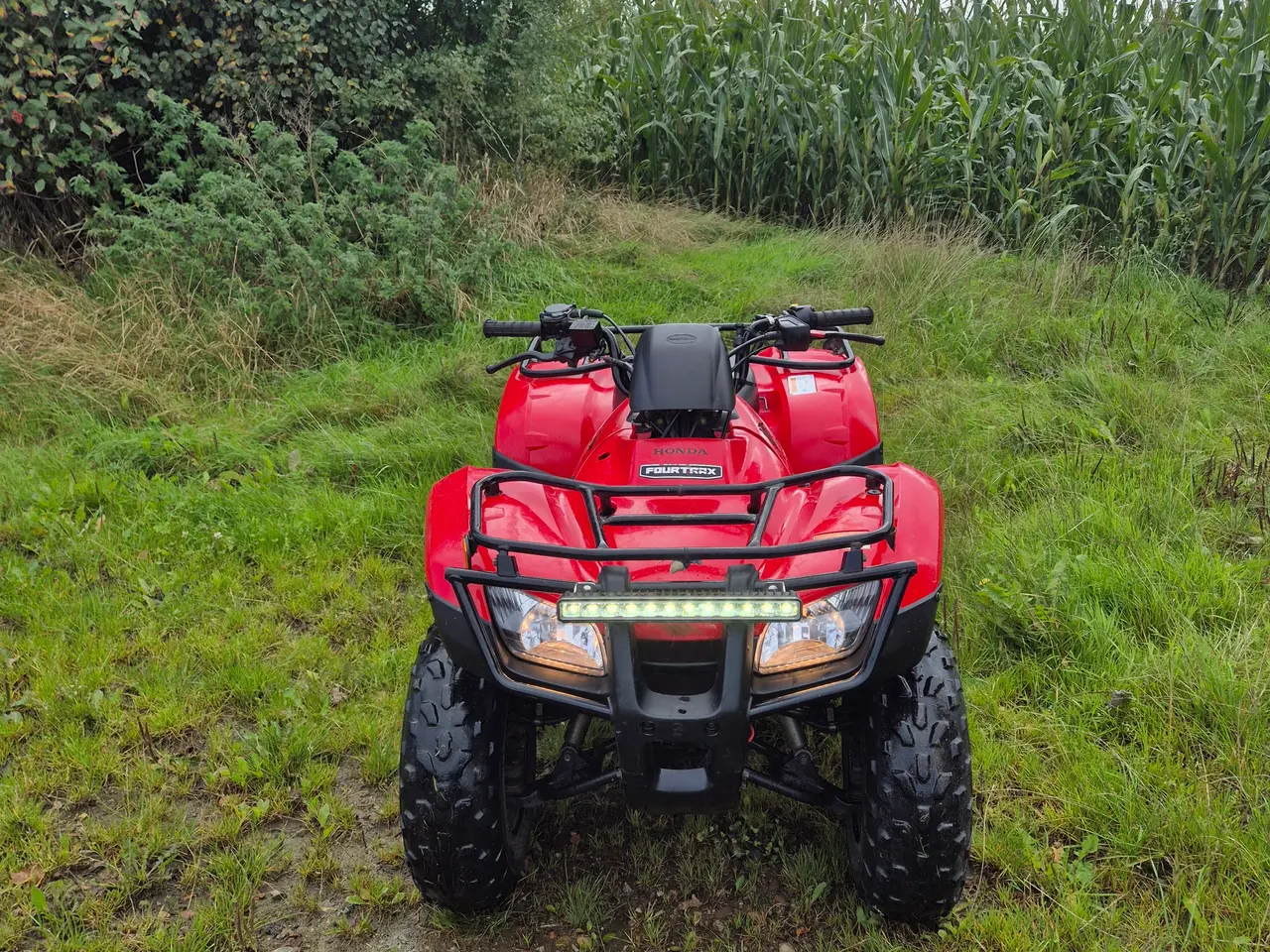 Billede 8 - Honda TRX250 2019