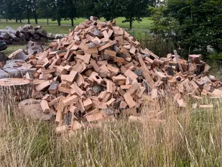 Bøgebrænde