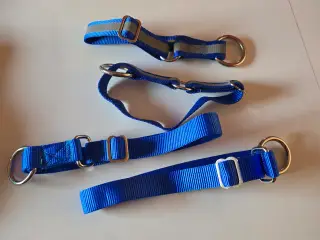 Hundehalsbånd