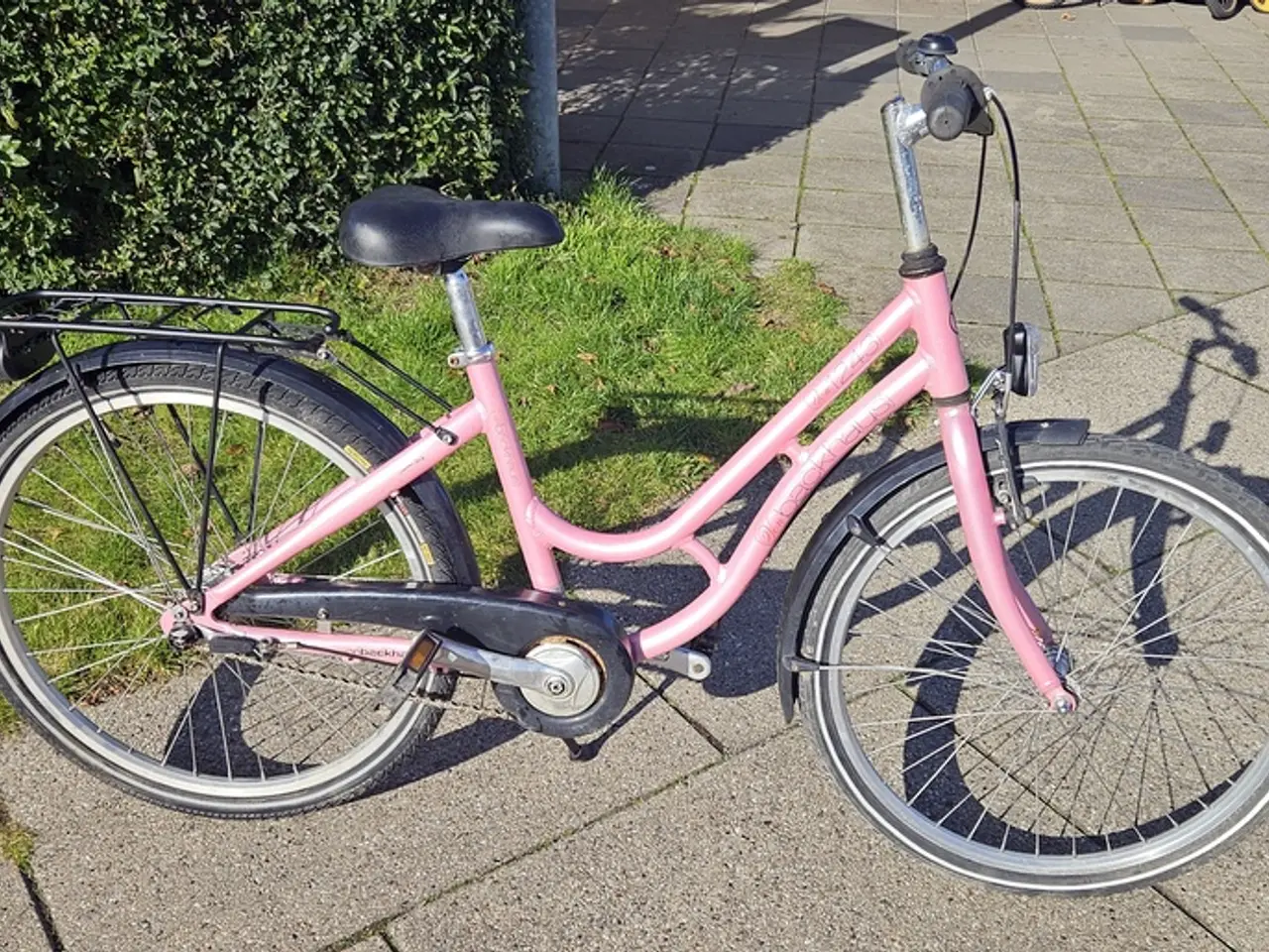 Billede 1 - Von Backhause prigcykel. 