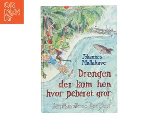 Drengen der kom hen hvor peberet gror af Johannes Møllehave (Bog)